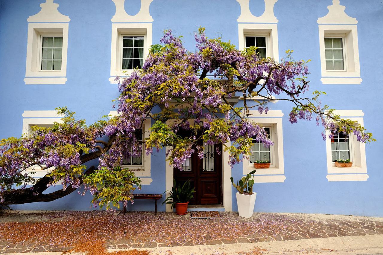 Готель The Blue House Толмин Екстер'єр фото